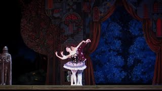 quotCipollinoquot Kremlin ballet quotЧиполлиноquot Кремлевский балет [upl. by Ahtiek]