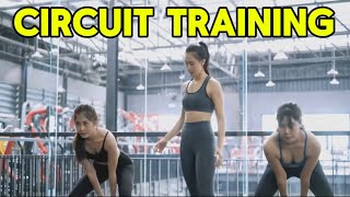 Circuit Training for Fat Loss [upl. by Hudnut]