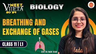 Breathing and Exchange of Gases L1  Class 11  NEET 2024 Zoology  Vijeta Batch neetkijeet [upl. by Ecertap]