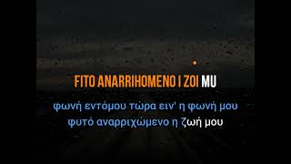 DIMITRIS MITROPANOS  ROZA  LYRICS [upl. by Hareehat]