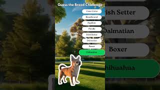 Think You Know Dogs Name These Breeds in 10 Seconds [upl. by Ecinereb]