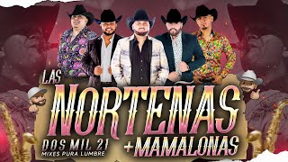 Las Norteñas Más Mamalonas del 2021  By Dj Alfred  EXITOS 2021  La Fiera Rienda Real La Fe [upl. by Annadiane]