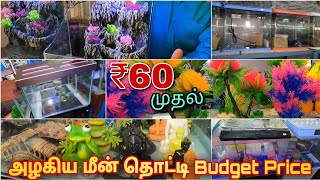 ₹60 முதல்  Fish Tank Setup  Imported amp Cheapest Fish Tank Accessories  Erode Jayanthis Kitchen [upl. by Goldshlag578]