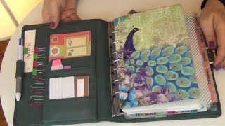 2015 Planner Setup Franklin Covey  Plum Paper Designs Planner [upl. by Autrey]