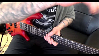 Tool  H Bass cover [upl. by Ilise]