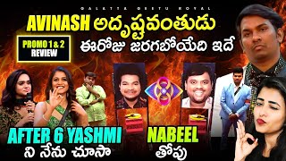 Yashmi After 6 🍻  Nabeel 🔥  Lucky Avinash  What happens today Analysis by Geetu Royal BIGGBOSS 8 [upl. by Htaras]