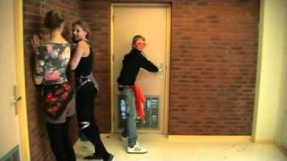 Lipdub Bogerman Wommels  Pink quotRaise Your Glassquot [upl. by Newcomb228]