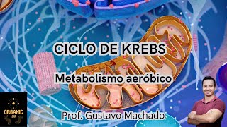 CICLO DE KREBS  Metabolismo aeróbico [upl. by Adnohsak]