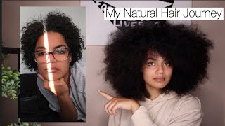 MY NATURAL HAIR JOURNEY  10 Years of Relaxers  4 Years of being Natural [upl. by Hahsi391]