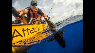 CRAZY NONSTOP JIGGING ACTION PACIFIC COLLAGE TUNA BONITO JACKS MAHI GROUPERS [upl. by Northrup683]