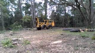 Tree Removal by Alpine Lumber using Feller Buncher [upl. by Novy]