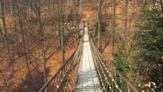 Die Hängebrücke am Rothaarsteig [upl. by Ahsaercal]