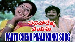 Padaharella Vayasu Songs  Panta Chenu Paala kanki navvindi  Sridevi Chandra Mohan [upl. by Diad235]