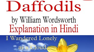 Daffodils by William Wordsworth  Explanation in Hindi [upl. by Boycey43]