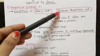 Arabinose Operon Part 3 Dr Preeti Dharmik [upl. by Harold]