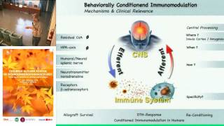 How learning is shaping immunity  Manfred Schedlowski University of DuisburgEssen [upl. by Ametaf]