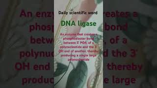 DNA ligase biology enzymes enzyme biochemistry biotechnology genetics shorts trending viral [upl. by Reste660]