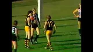 Glenelg Tigers  1983 SANFL Season Highlights  Stephen Kernahan Carton [upl. by Schnell]