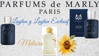 PARFUMS de MARLY LAYTON vs LAYTON EXCLUSIF y MELIORA ¡Compritas mañaneras [upl. by Tobey]