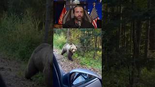 Man Tries to Feed a Grizzly BearInstantly Regrets It [upl. by Akihsay]