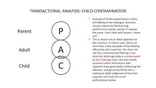 Transactional Analysis EgoState Contamination [upl. by Aciretahs]