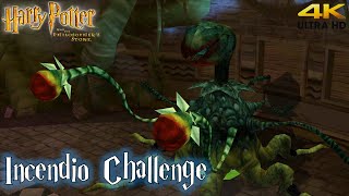 Harry Potter and the Philosophers Stone PS2 Incendio Challenge 4K [upl. by Icam]