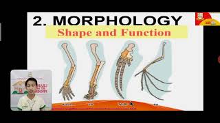 Classifying Organisms Based on Evolutionary Relationship EarthampLifeScienceGrade11 Discussion Video [upl. by Yurt]