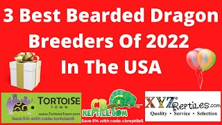 3 Best Bearded Dragon Breeders Of 2022 In The USA  Certified Breeders Online [upl. by Pena]