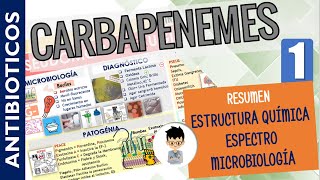 CARBAPENEMES MONOBACTAMICOS Resumen Espectro Antibacteriano Mecanismo de Acción  P1 [upl. by Zilber]