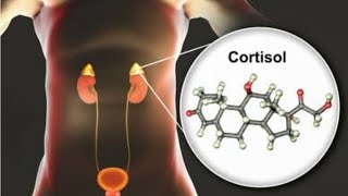 Is Your Cortisol Out of Whack Discover the Symptomsquot [upl. by Sacksen]