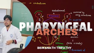 PHARYNGEAL ARCHES  EMBRYOLOGY  MBBS ANATOMY  Biswanath Tripathy [upl. by Reldnahc517]