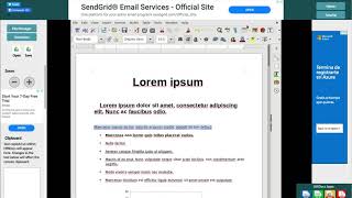 OpenOffice Writer Online Extension demo [upl. by Nadnal]