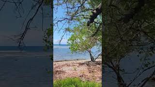 seashore beautifulbeach bluesky nature [upl. by Nalo]