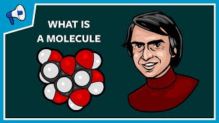 What Is a Molecule [upl. by Lemra893]