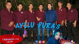 CARNAVALITO 2020 AYLLU PURAS Official Audio [upl. by Hazard204]