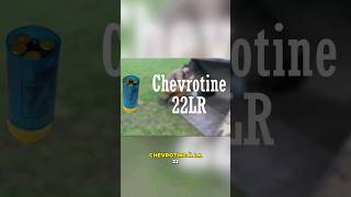 De la chevrotine avec de la 22lr [upl. by Kerekes122]