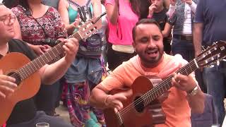 Fete des Gitans 2014Gypsymusic Saintes Maries de la Mer [upl. by Hendry]