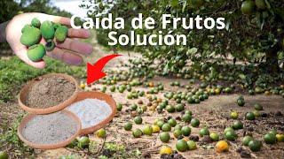 ¿A tus Plantas Frutales se les Cae el Fruto Aplica este Compuesto potente para la caída de frutos [upl. by Asserrac678]