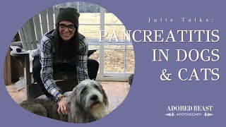 Pancreatitis in Dogs and Cats [upl. by Ivett542]