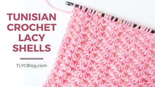 Pretty Crochet Learn the Tunisian Crochet Lacy Shells Stitch VIDEO TUTORIAL  EASY PATTERN [upl. by Osric]