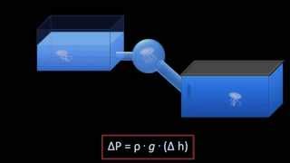 Hydrostatic Pressure Fluid Mechanics  Lesson 3 [upl. by Okkin]