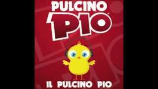 Pulcino Pio top 12 [upl. by Hesoj]