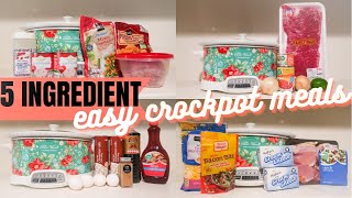 5 INGREDIENT OR LESS CROCKPOT MEALS ON A BUDGET EASY CROCKPOT MEALS FOR THE FAMILY [upl. by Yeleak]