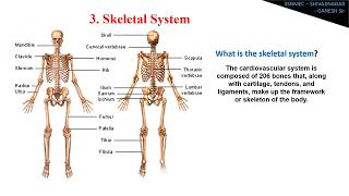 II Year Paramedical Diploma Anatomy notes  Part  1  Quick reference guide [upl. by Lativa462]