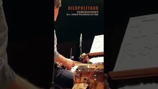 NILOPOLITANO Dominguinhos  Rafael Piccolotto e Orquestra Sinfônica de Campinas  Forró Sinfônico [upl. by Obelia]