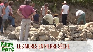 Les Pieds dans le Parc 2  Les murs en pierre sèche [upl. by Ellene]