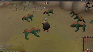 OSRS Slayer Guide Basilisk [upl. by Anid147]