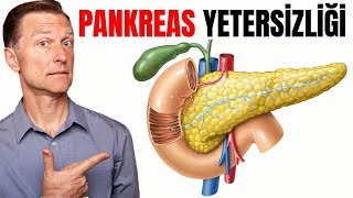 Pankreas Yetersizliği  Pankreasın Fonksiyonları ve Pankreatit  DrBerg Türkçe [upl. by Aurore]