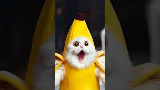 Tom sings change cat to a yellow banana meow [upl. by Modeerf]