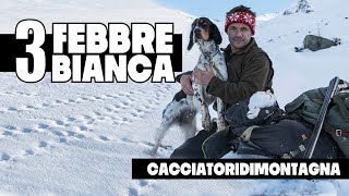 Febbre Bianca  Caccia alla Pernice Bianca con il Setter Inglese [upl. by Jarrod]